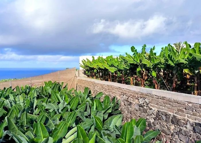 Casa Plataneras 펜션 *